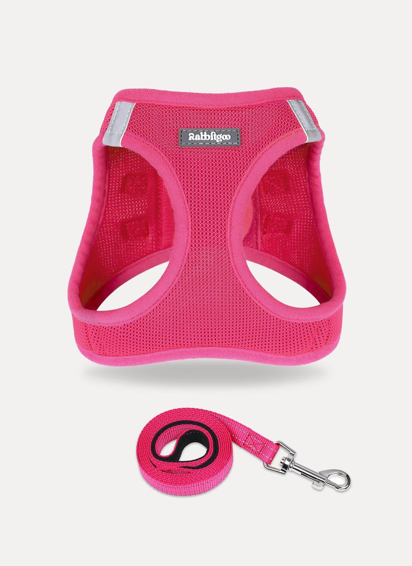 Minifit Small Dog Harness and Leash Set