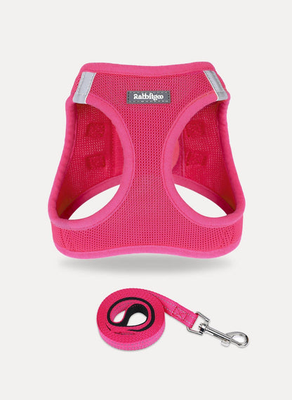 Minifit Small Dog Harness and Leash Set