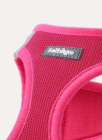 Minifit Small Dog Harness and Leash Set