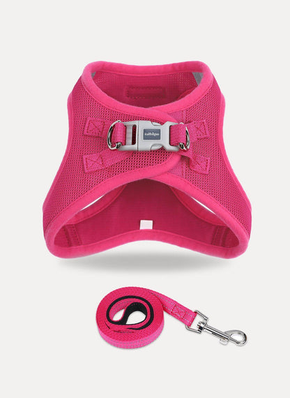 Minifit Small Dog Harness and Leash Set