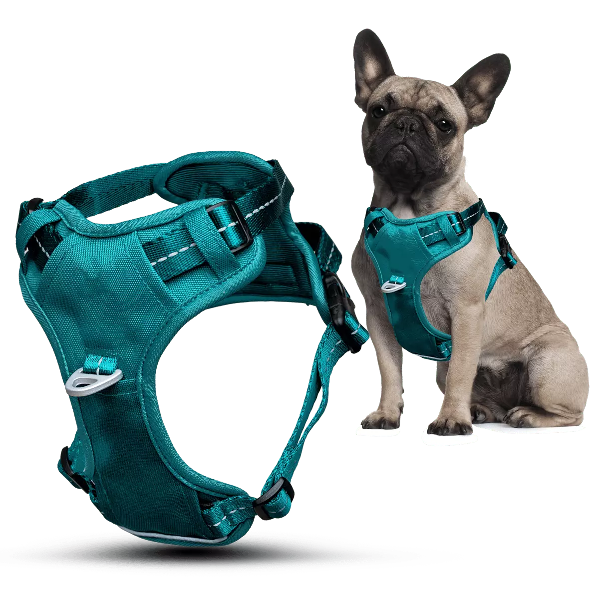Puppioo Essentia No Pull Harness #teal