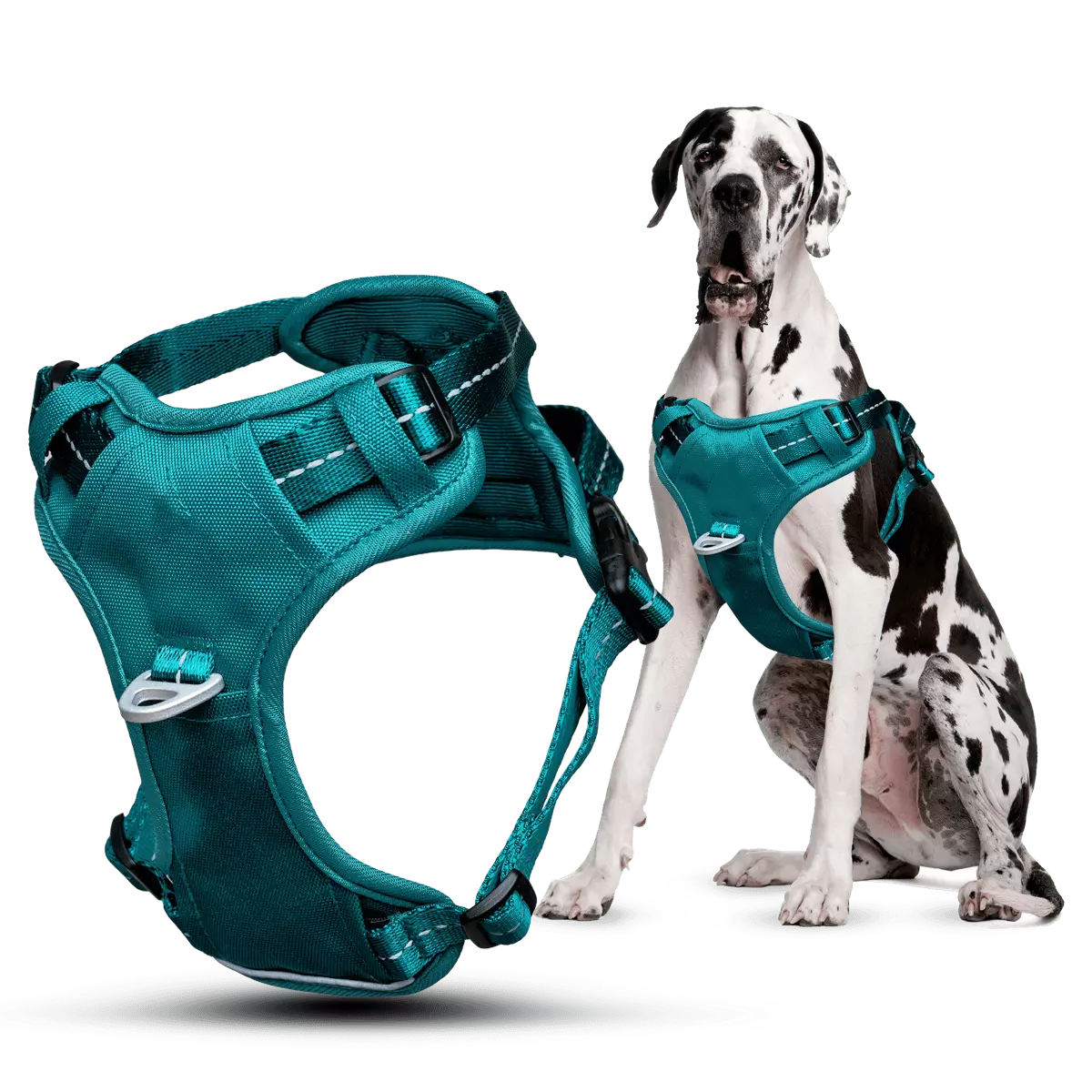 Puppioo Essentia No Pull Harness #teal