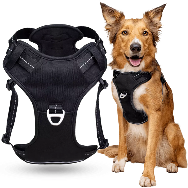 Puppioo Essentia No Pull Harness #black