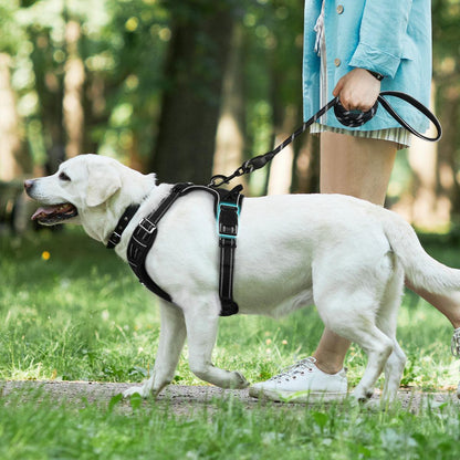 No Pull Dog Harness and Leash Set